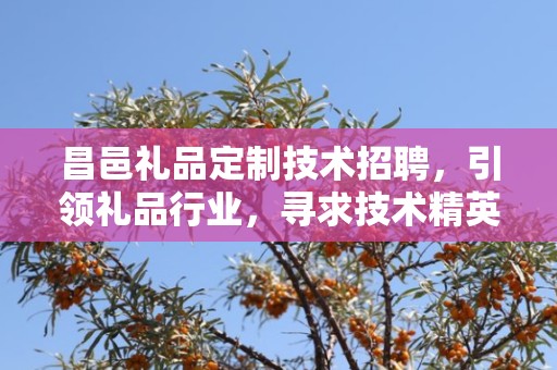昌邑礼品定制技术招聘，引领礼品行业，寻求技术精英