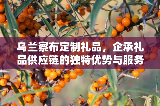 乌兰察布定制礼品，企承礼品供应链的独特优势与服务